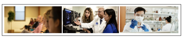 screenshot showing 3 different pictures that represent each one an activity. the first one shows people attending a seminar, the second one, three health professionals reviewing clinical diagnostic images on a computer and the third one, is a researcher in a laboratory practicing with laboratory elements.